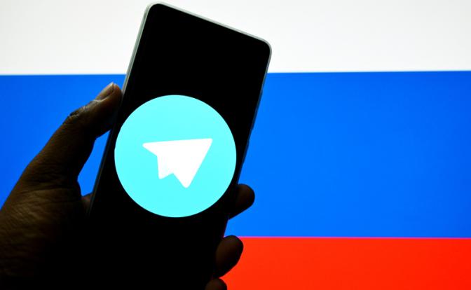 ТГ-сводка: Под "Золотым куполом" можно увидеть много забавных животных