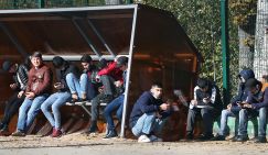 Засады на местах: Власти обхаживают мигрантов, а потом удивляются – почему они на шею сели