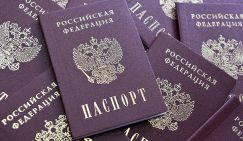 Членам команды Байдена полюбились русские березки