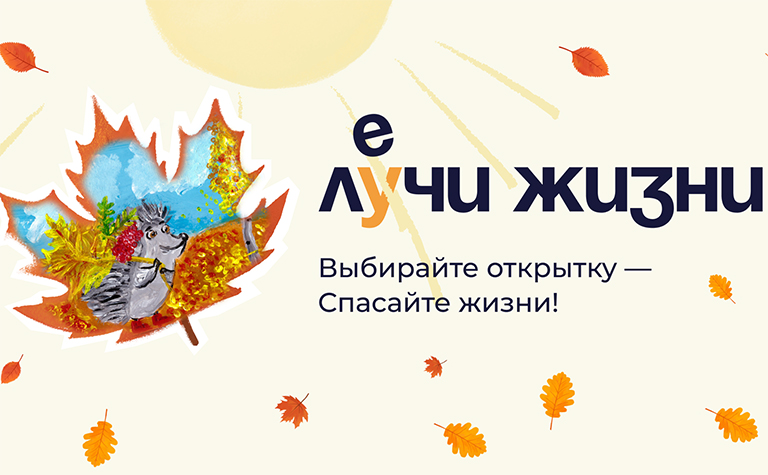 предоставлено Благотворительным фондом "Алёша"