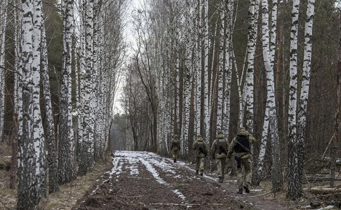 Тайная тропа ухилянта: Кто-то прикупил пару метров украинско-белорусской границы