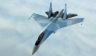 Драго Боснич: НАТО сейчас боится не Су-57, а другого русского истребителя