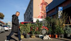 Грузия: Русофобия неискоренима? Не факт