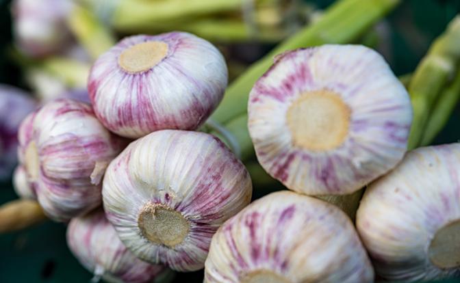 Четыре привычных продукта в холодильнике, которые защитят от инфекций осенью