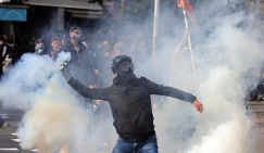 «Революция фламинго»: Аппетиты зятя Трампа и катарских миллиардеров довели Албанию до «коктейлей Молотова»
