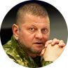 Валерий Залужный