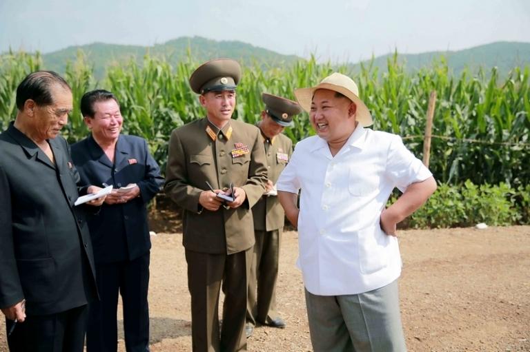 На фотографии, предоставленной Центральным информационным агентством Кореи (ЦТАК), запечатлен высший лидер Корейской Народно-Демократической Республики (КНДР) Ким Чен Ын (первый справа), сообщивший, что ему приятно узнать о выращивании на экспериментальной основе кормовой травы. Он подробно узнал о питательных особенностях растения и способе его выращивания. Трава хороша для кормления крупного рогатого скота, коз, овец, кроликов, гусей, свиней и другого скота, а также может быть использована в качестве субстрата для выращивания грибов, подчеркнул Ким Чен Ын. Затем осмотрел выращиваемые в хозяйстве посевы фасоли и высокоурожайные сорта кукурузы. 2015 год.