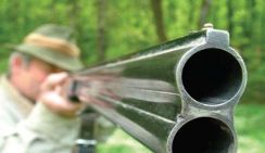 Волгоградец из окна квартиры из ружья стрелял по детям во дворе